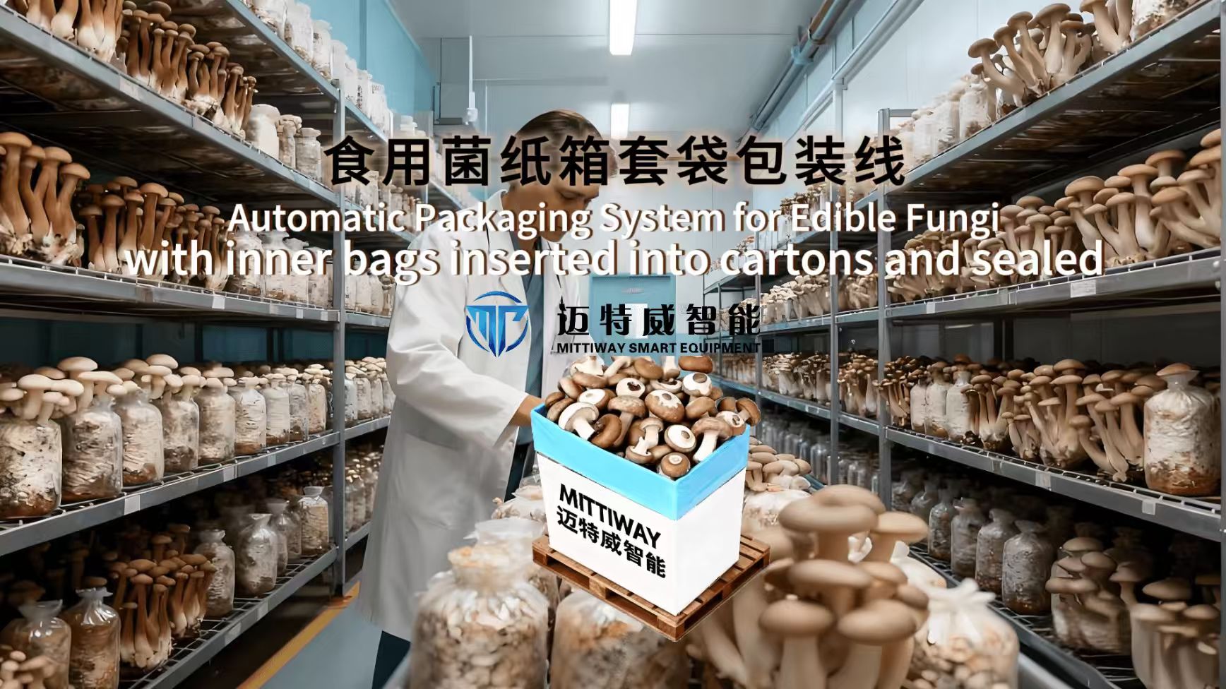 全自动折盒机_高速套袋机械_扎口机-后道包装装备生产厂家-老子有钱lzyq88智能装备（深圳）有限公司