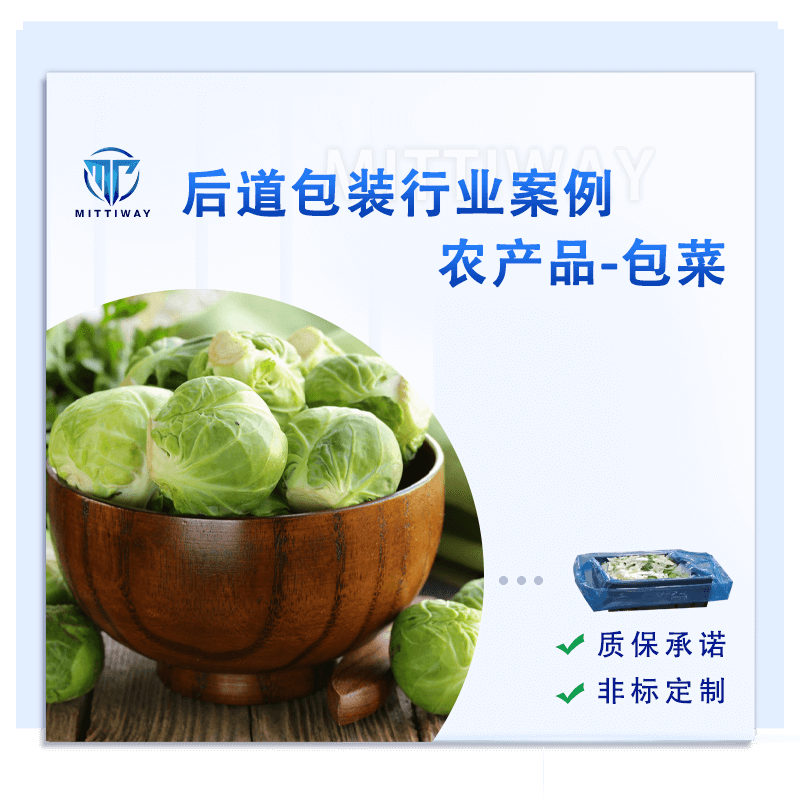 套袋装箱包装整线_折盒装箱自动化流水线_全自动折盒套袋机生产厂家-老子有钱lzyq88智能装备全自动折盒机_高速套袋机械-后道包装装备生产厂家-老子有钱lzyq88智能装备（深圳）有限公司